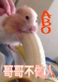 金乌的自我修养